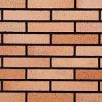 Facade Bricks AP31