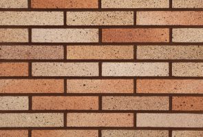 Facade Bricks AP36