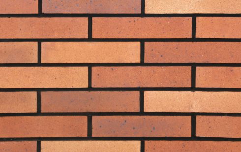 Facade Bricks AP41