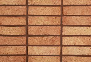 Rustic Facade Bricks AR19