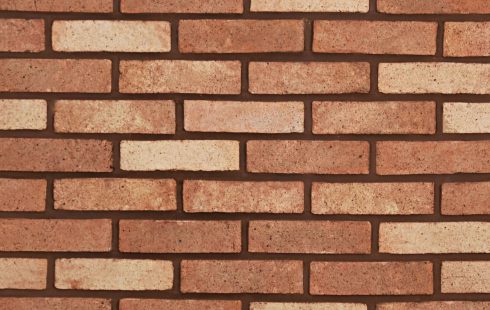 Rustic Facade Bricks AR81